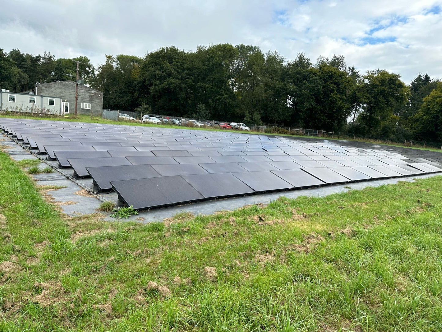 Behind the Scenes: The Road to a Greener Business